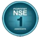 NSE 1
